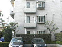 WZ06