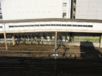 z[01